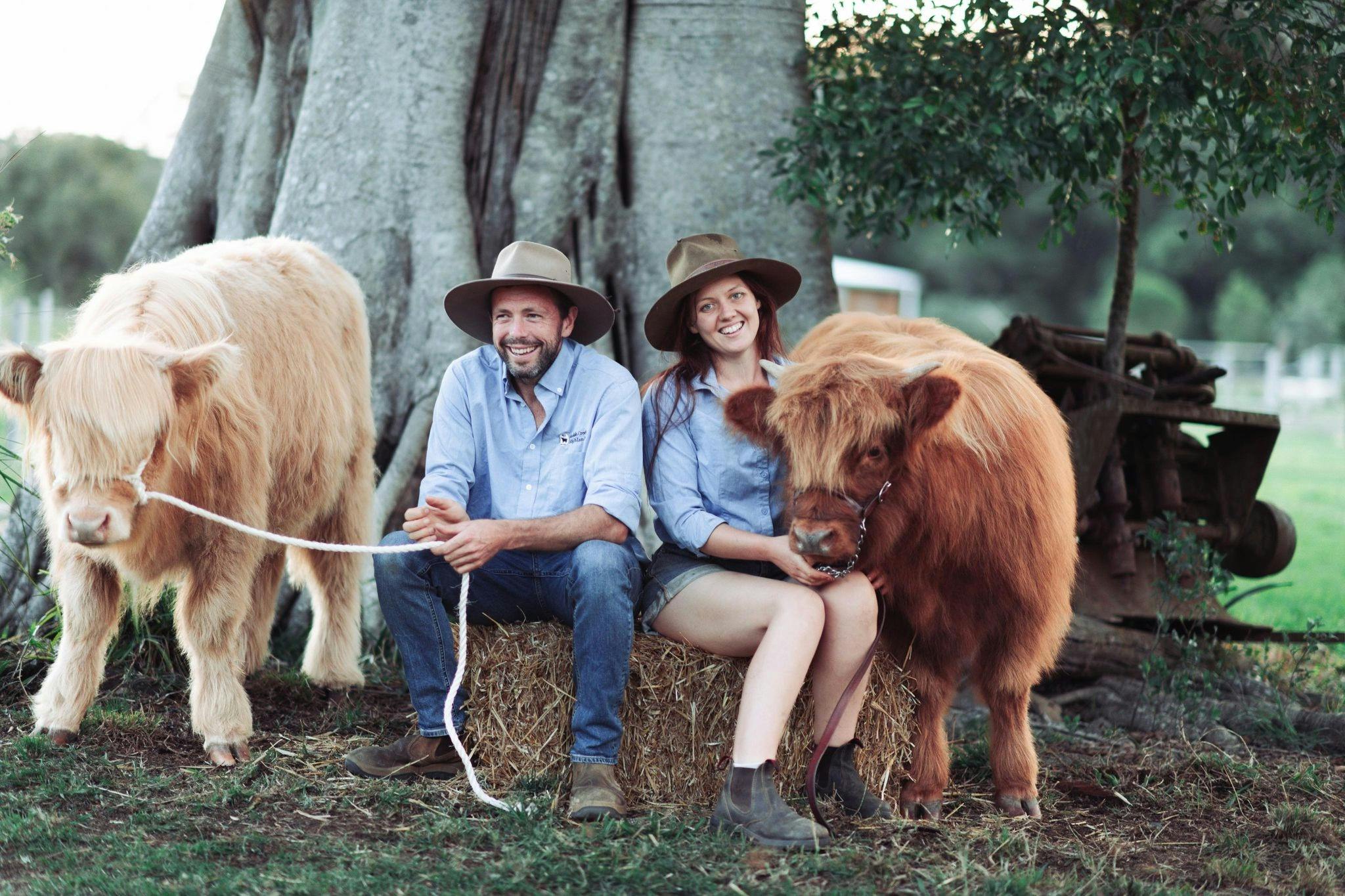 Koolah Creek Highlands