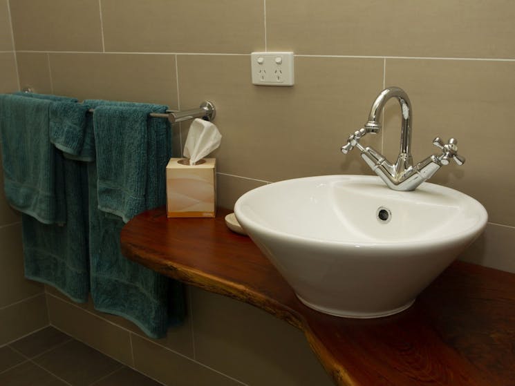 Photo of the bathroom sink with towels hanging up
