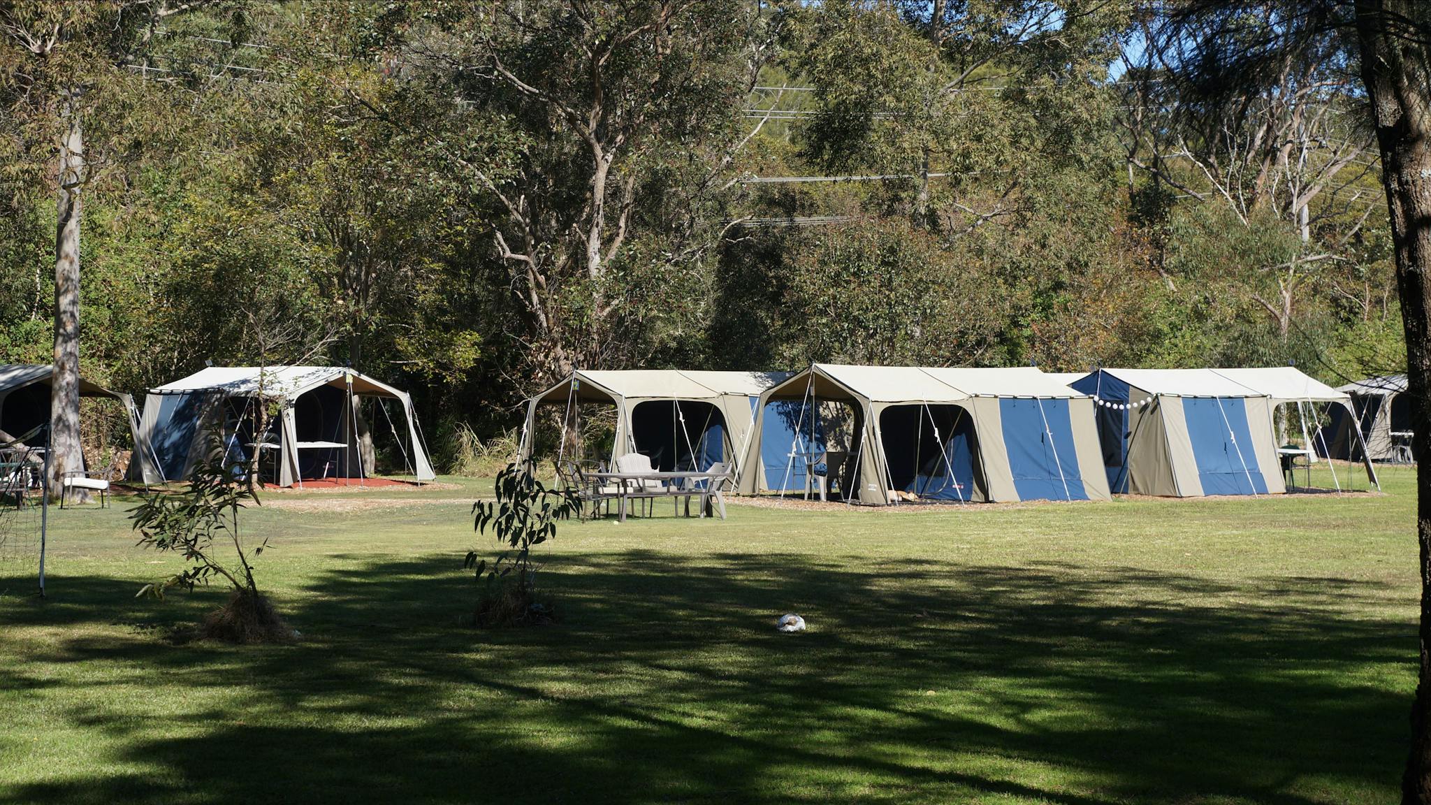 Tent hire