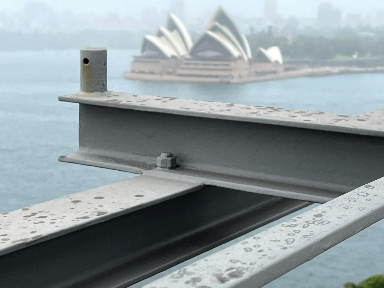 Arty photos on the Art of Sydney tour