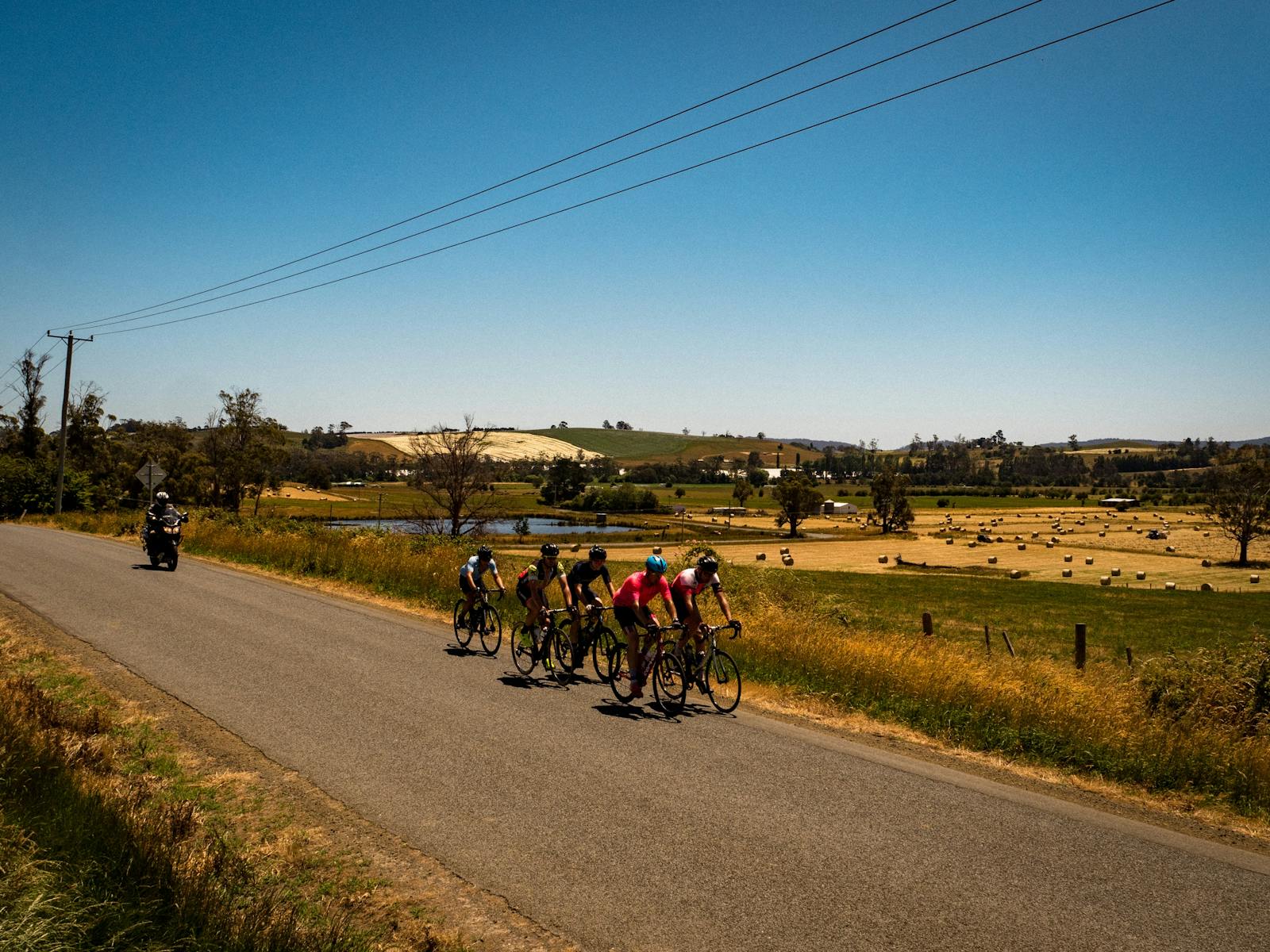 Cyclists on a country road