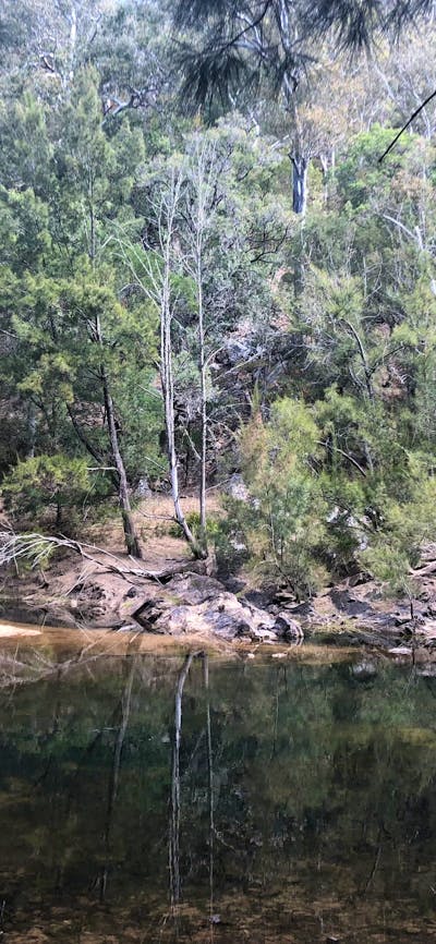Deua River Campground