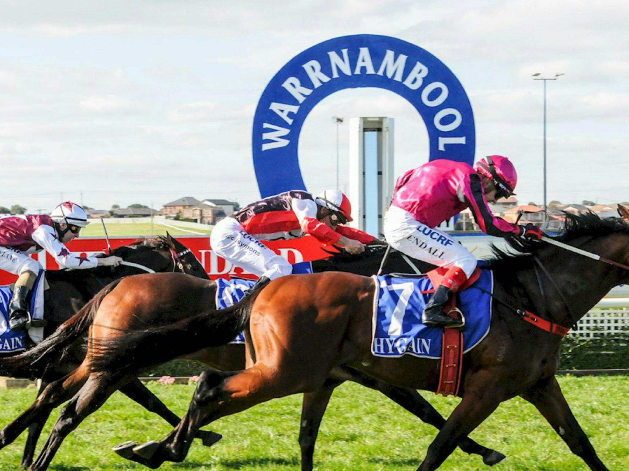 Horses racing at  May Racing Carnival
