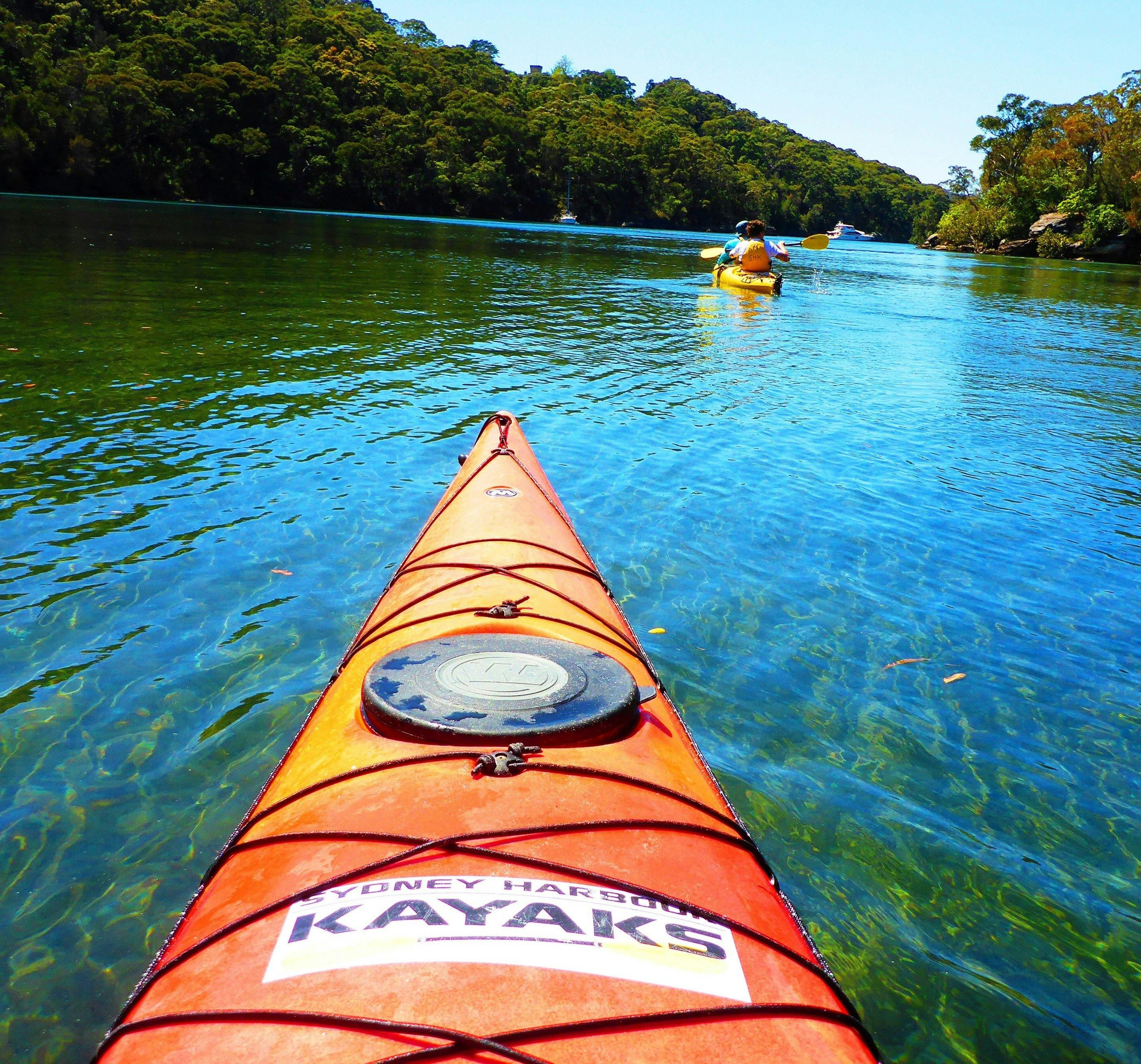 スコッツクリークのカヤックツアー