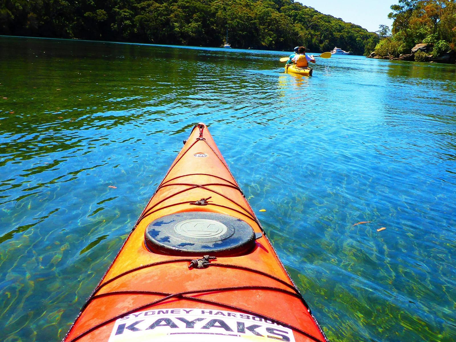 スコッツクリークのカヤックツアー