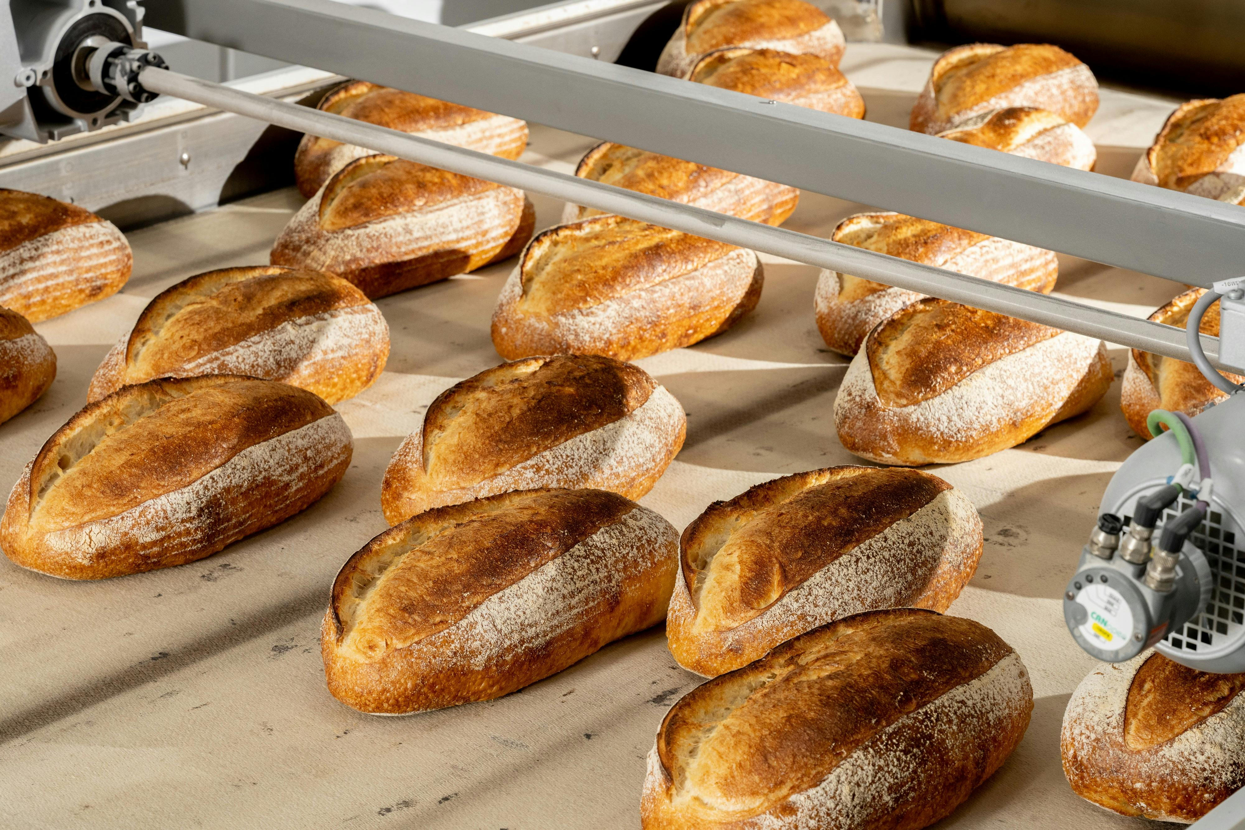 The bread that feeds Hobart - our signature stoneground sourdough