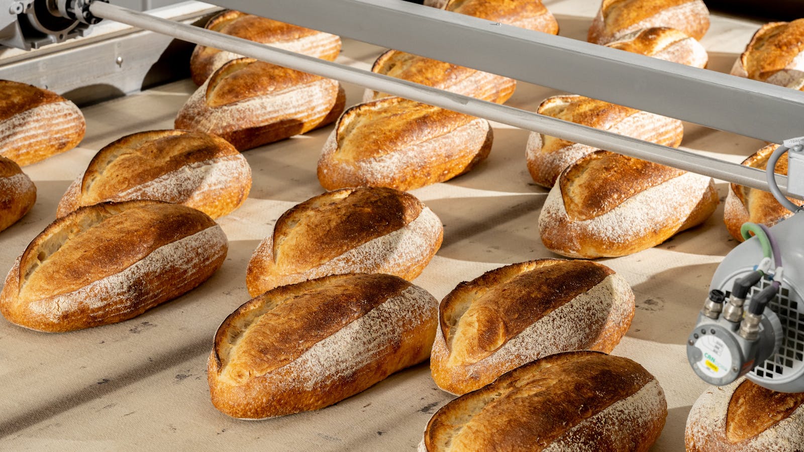 The bread that feeds Hobart - our signature stoneground sourdough