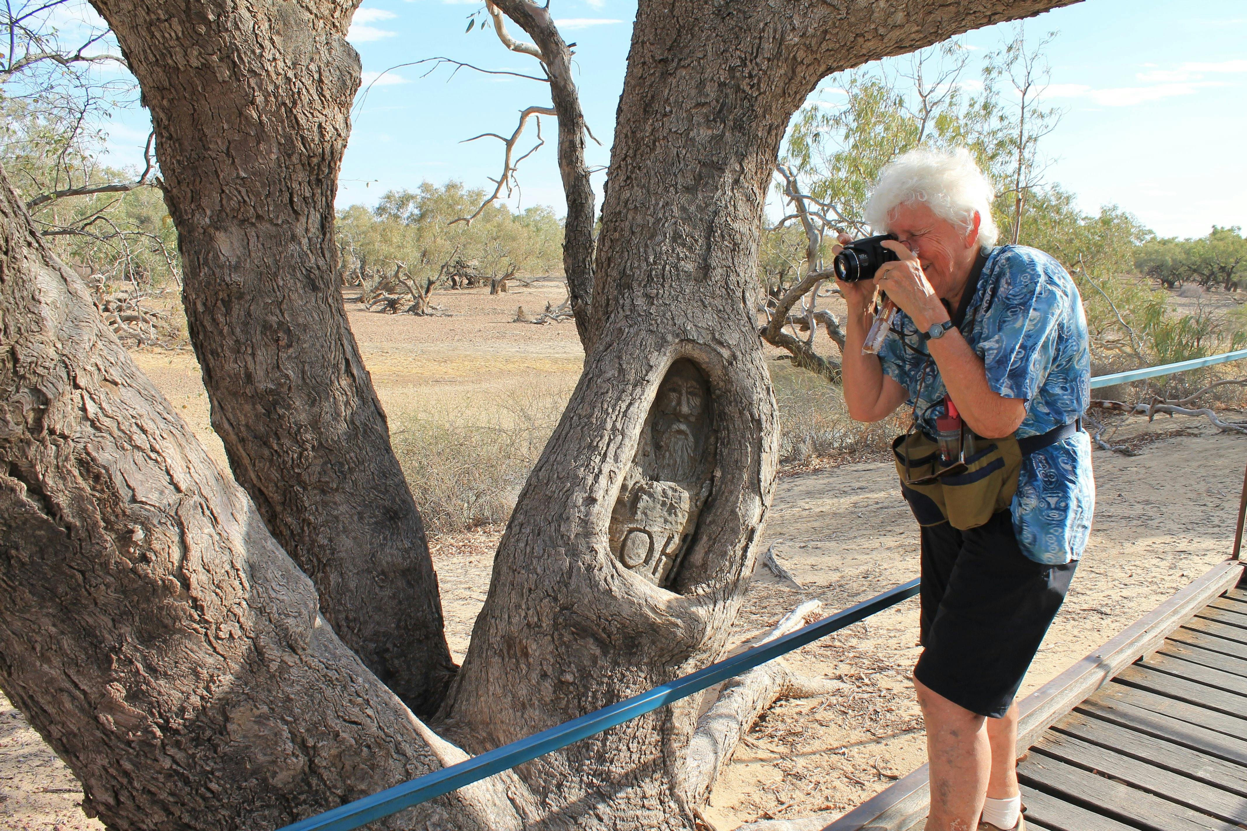 Photography the Burke and Wills Dig Tree