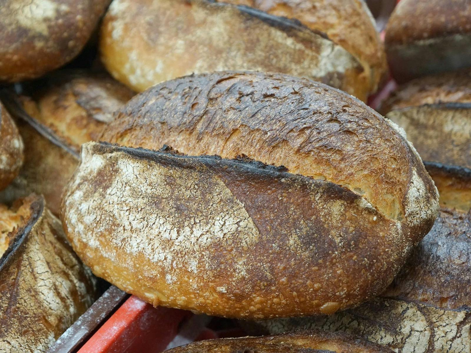 Tip top tray filled with freshly baked Country Sourdough Loaves