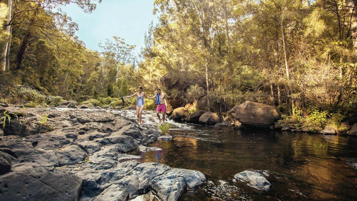 Border Range Loop Drive | Journeys | Queensland