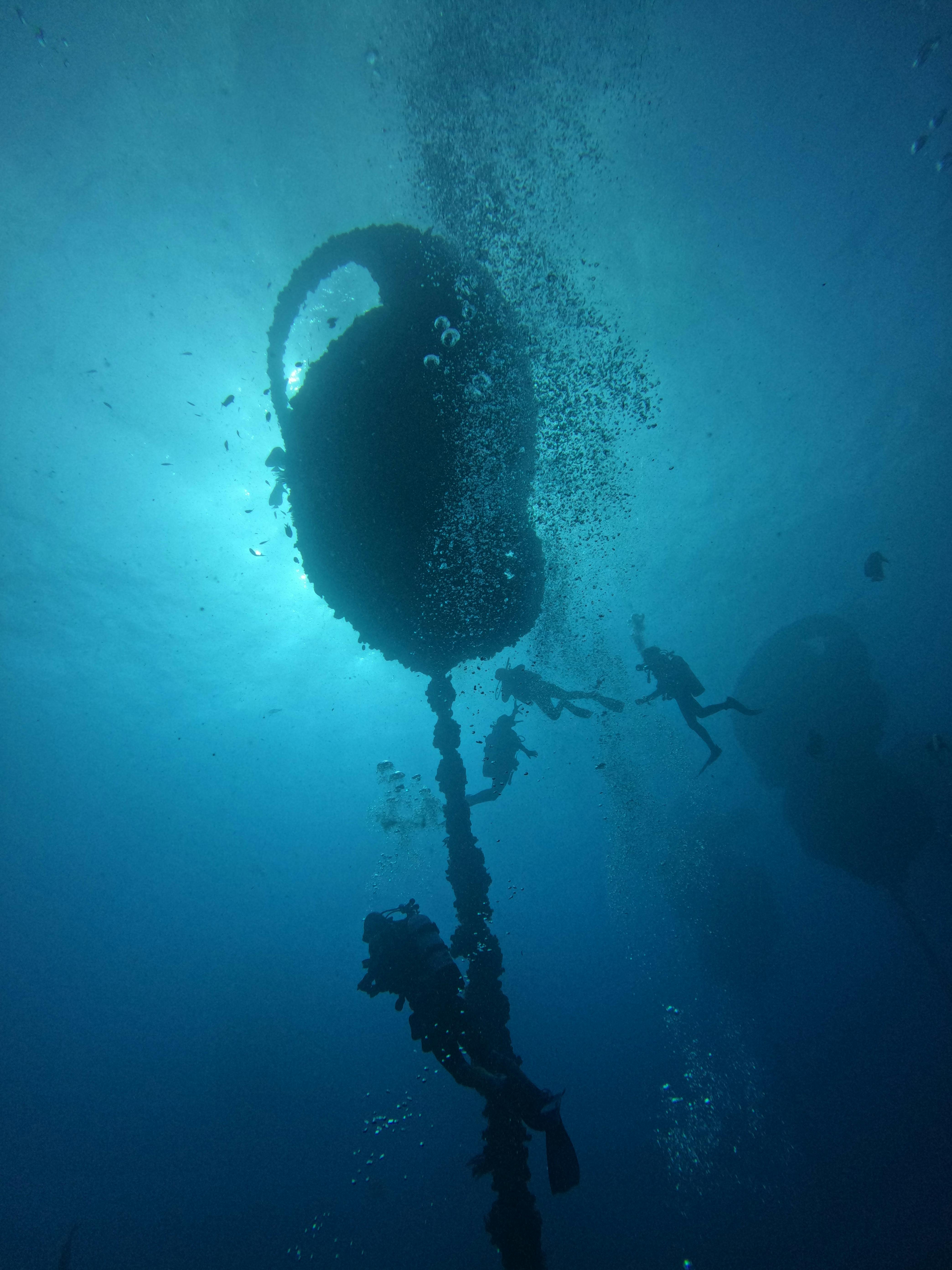 Wonder Reef Gold Coast