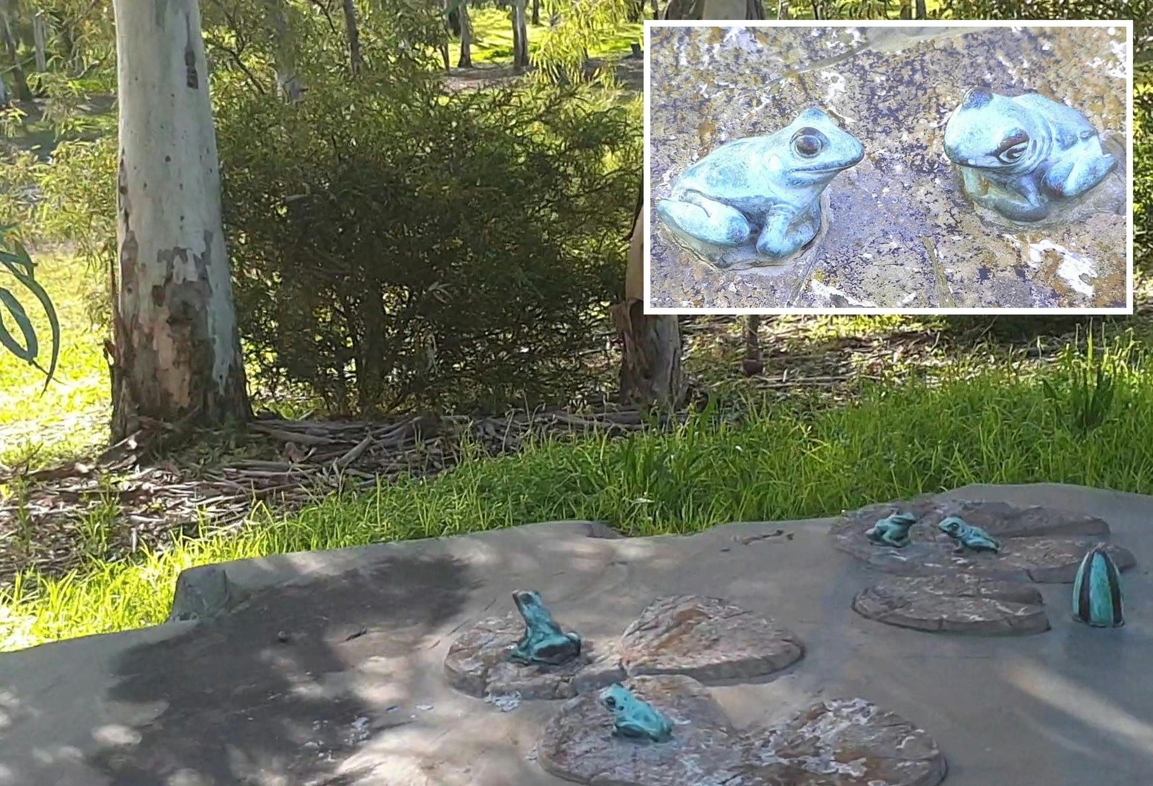 Frog sculptures on the Wirrarninthi environmental trail
