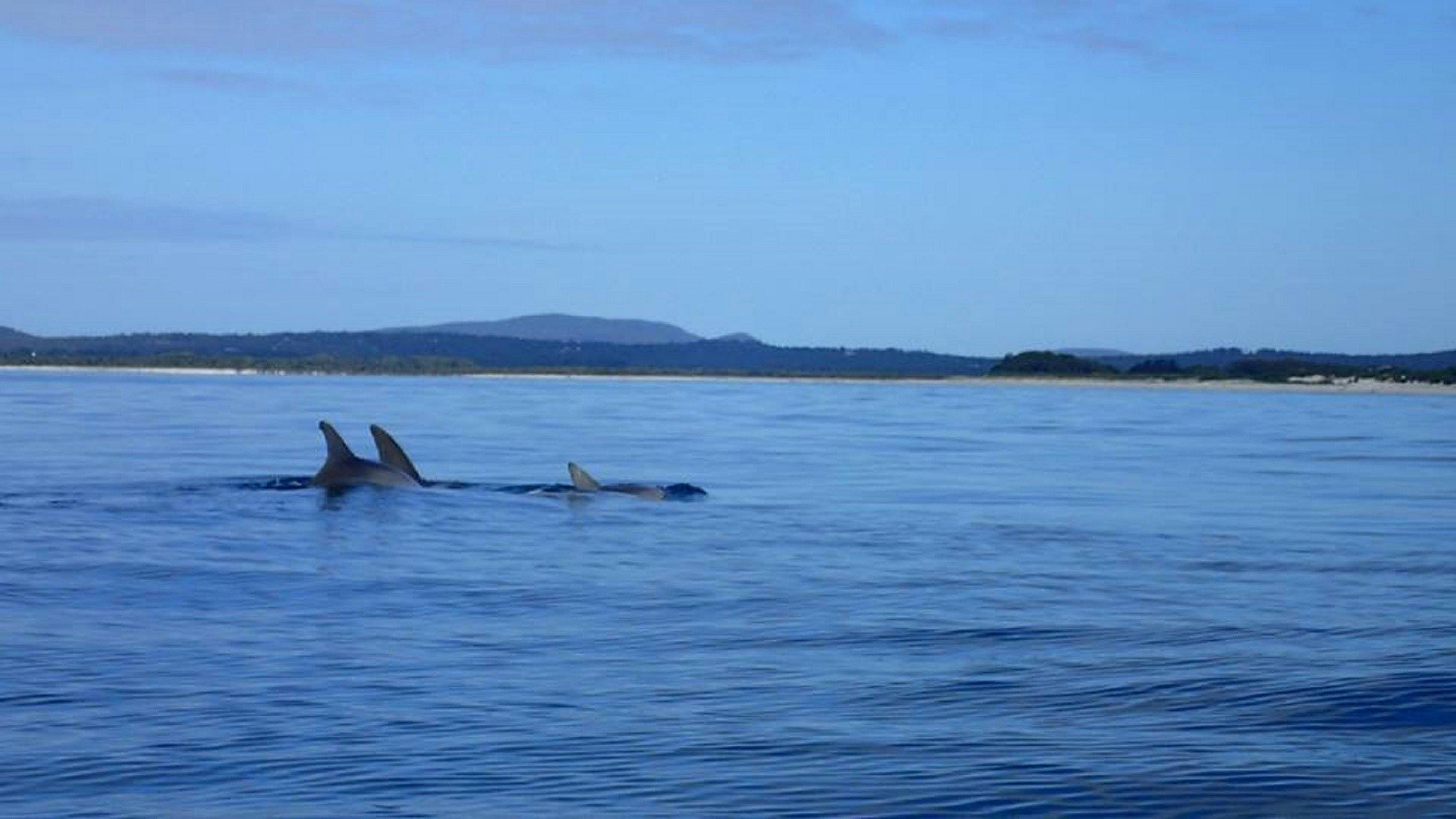 Serenity at its best...awesome experience paddling with nature