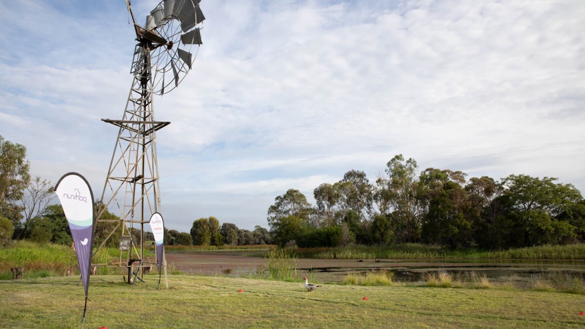 Beautiful green area beside the Waterloo Plains with view of Windmill.