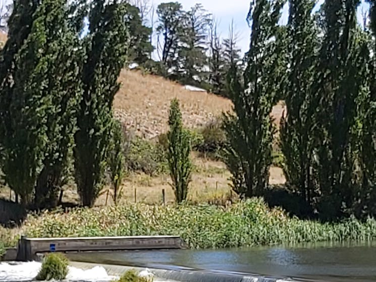 Dalgety weir