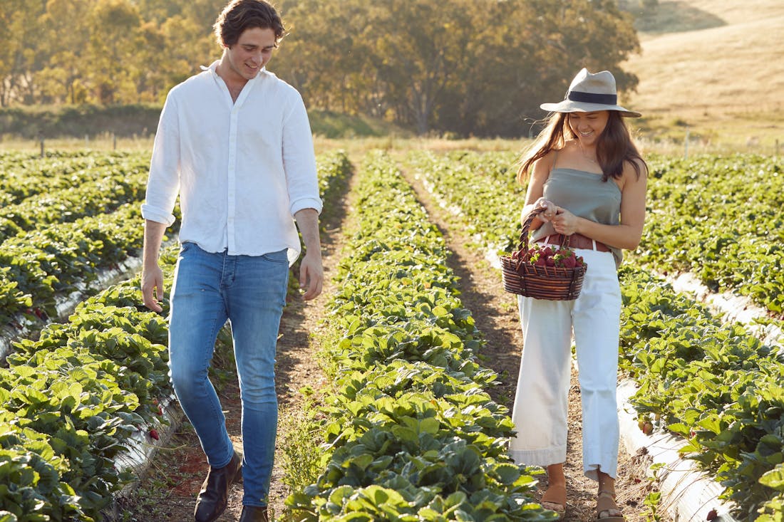 The Beerenberg Family Farm Hahndorf Attraction South Australia