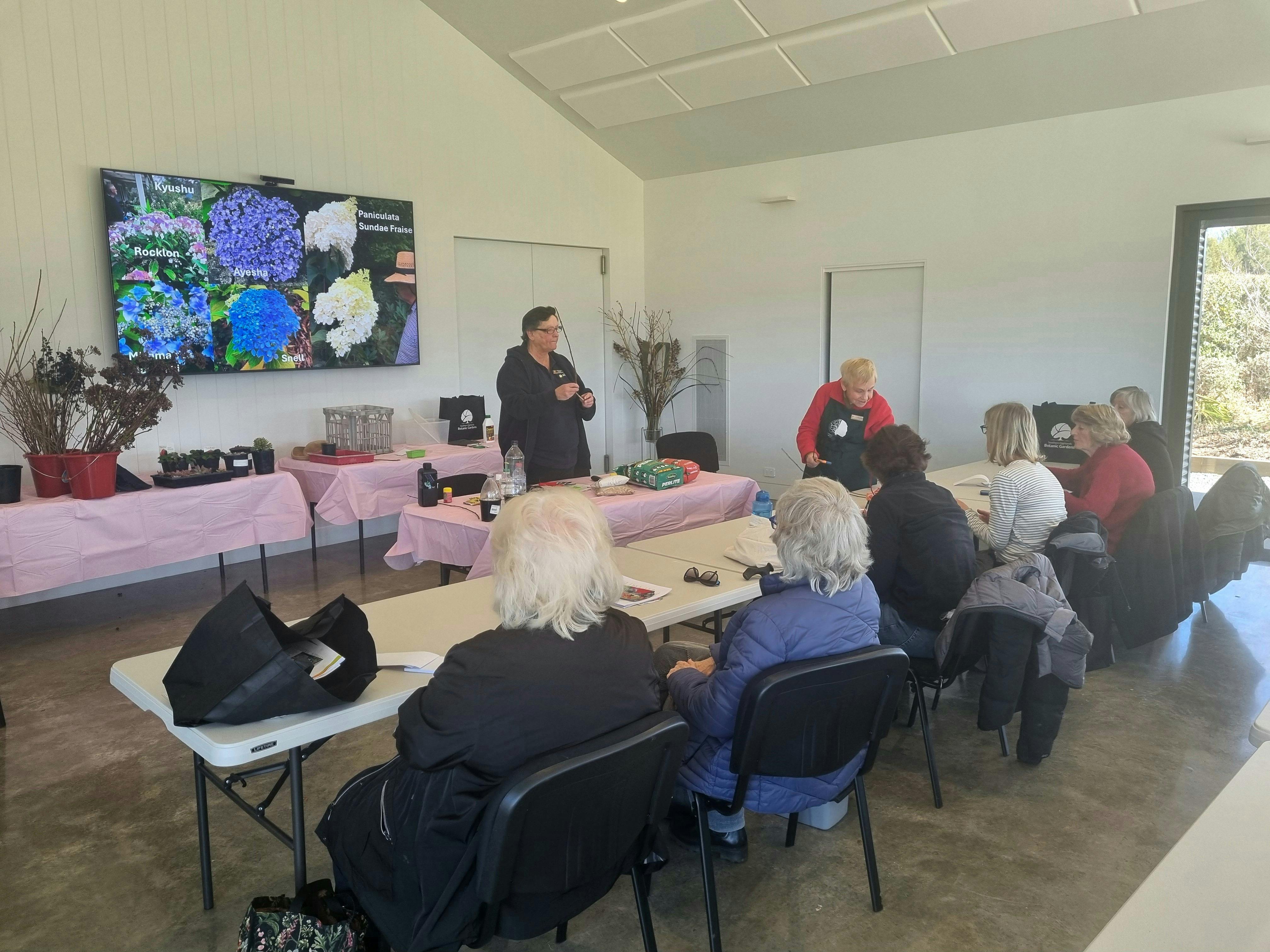 Workshops