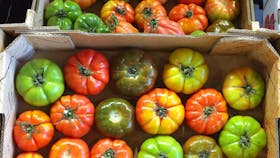 Sydney Produce Market