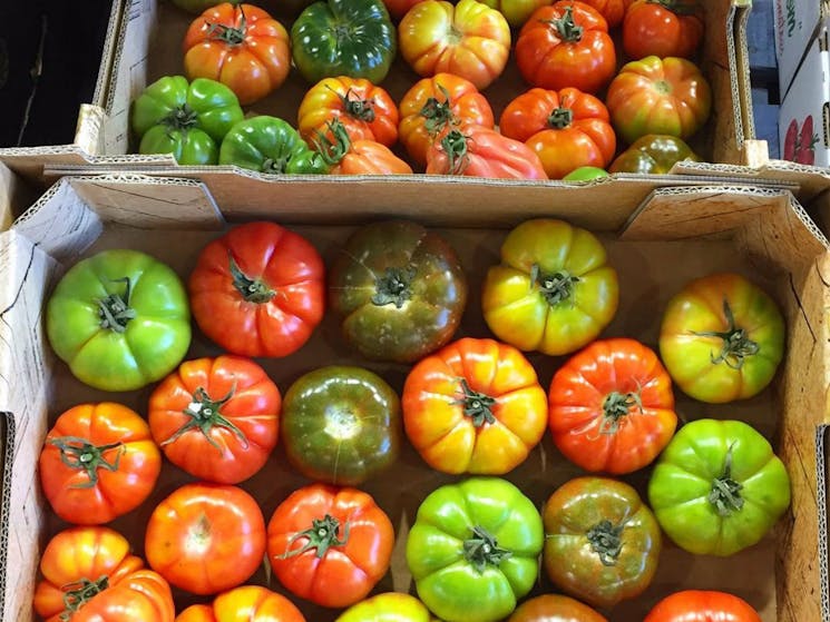 Sydney Produce Market