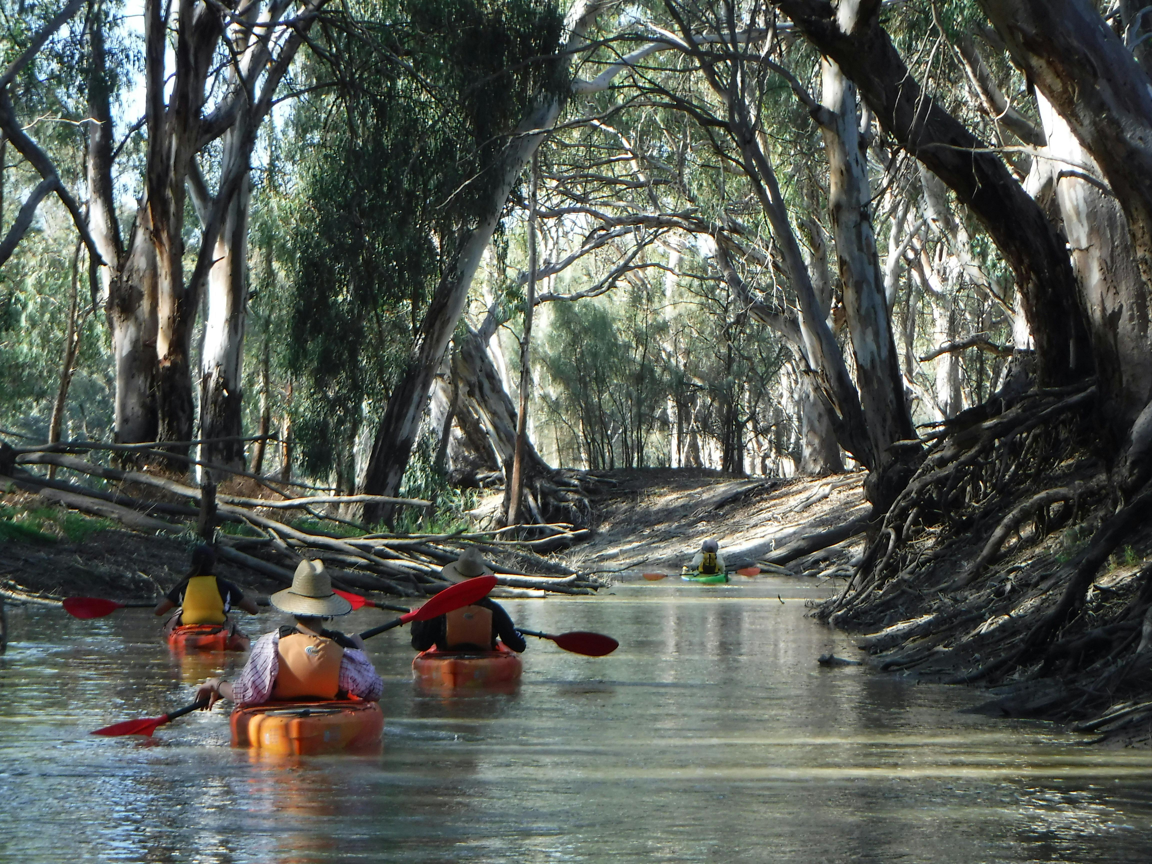 Tailored Kayak Tours