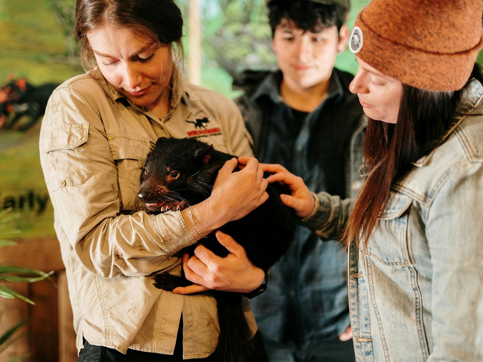 Twilight joey encounter image