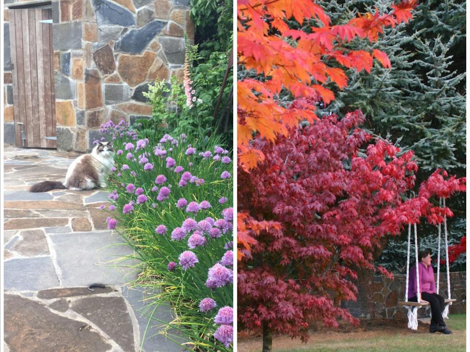 Kaydale Lodge Gardens photo