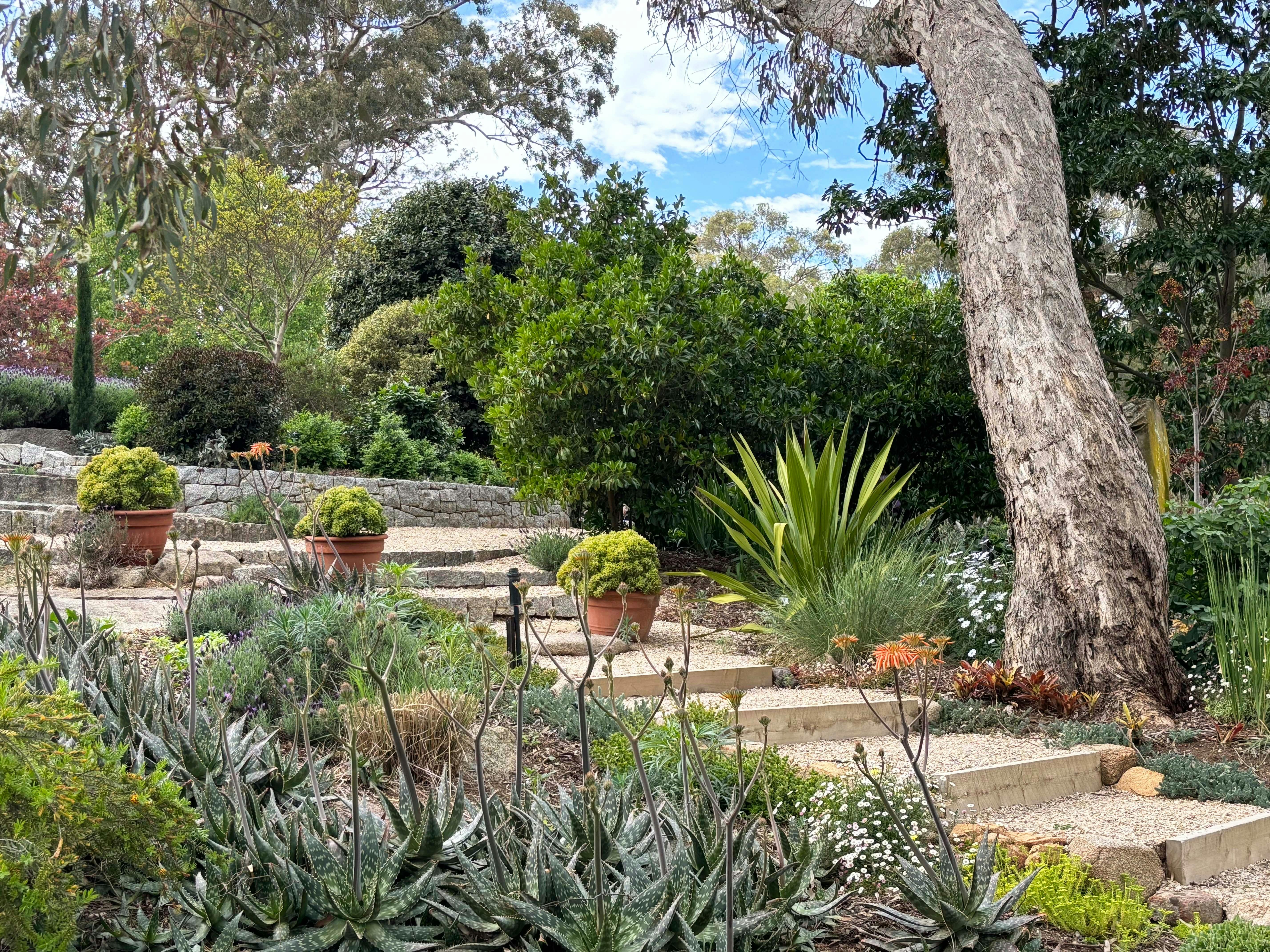 Open Gardens Victoria - Granite Garden, steps leading to drystone wall