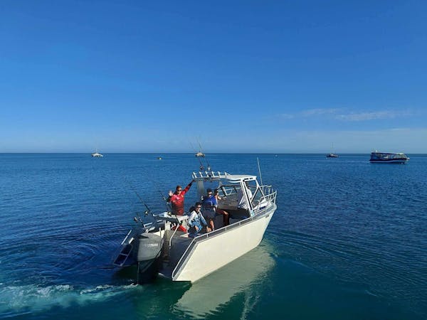 Monkey Mia Boat Hire Shark Bay