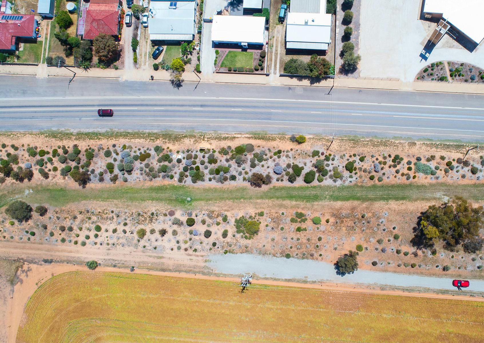 Portion of garden - drone photo