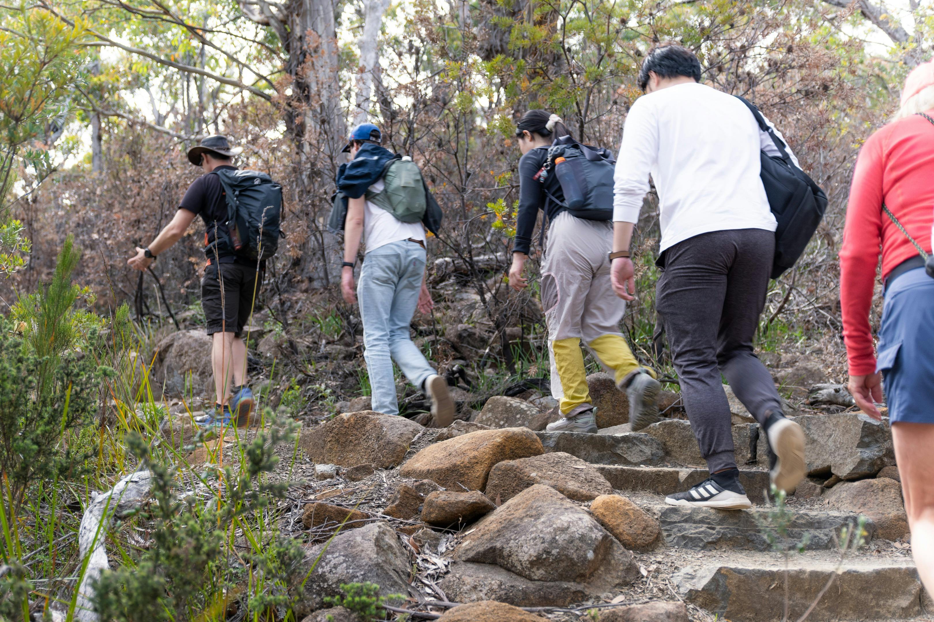 Cape Hauy Hike - walking