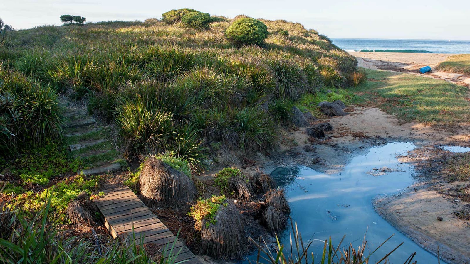 Richmond Beach