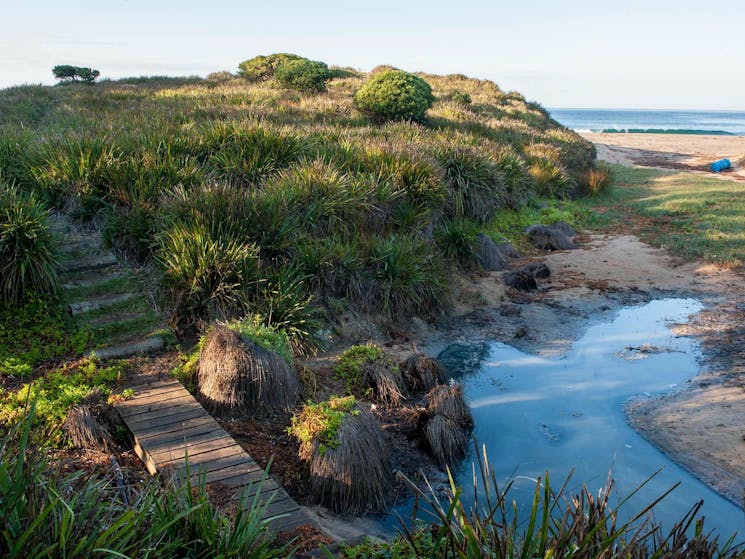 Richmond Beach, Murramarang National Park. Photo: Michael Van Ewijk