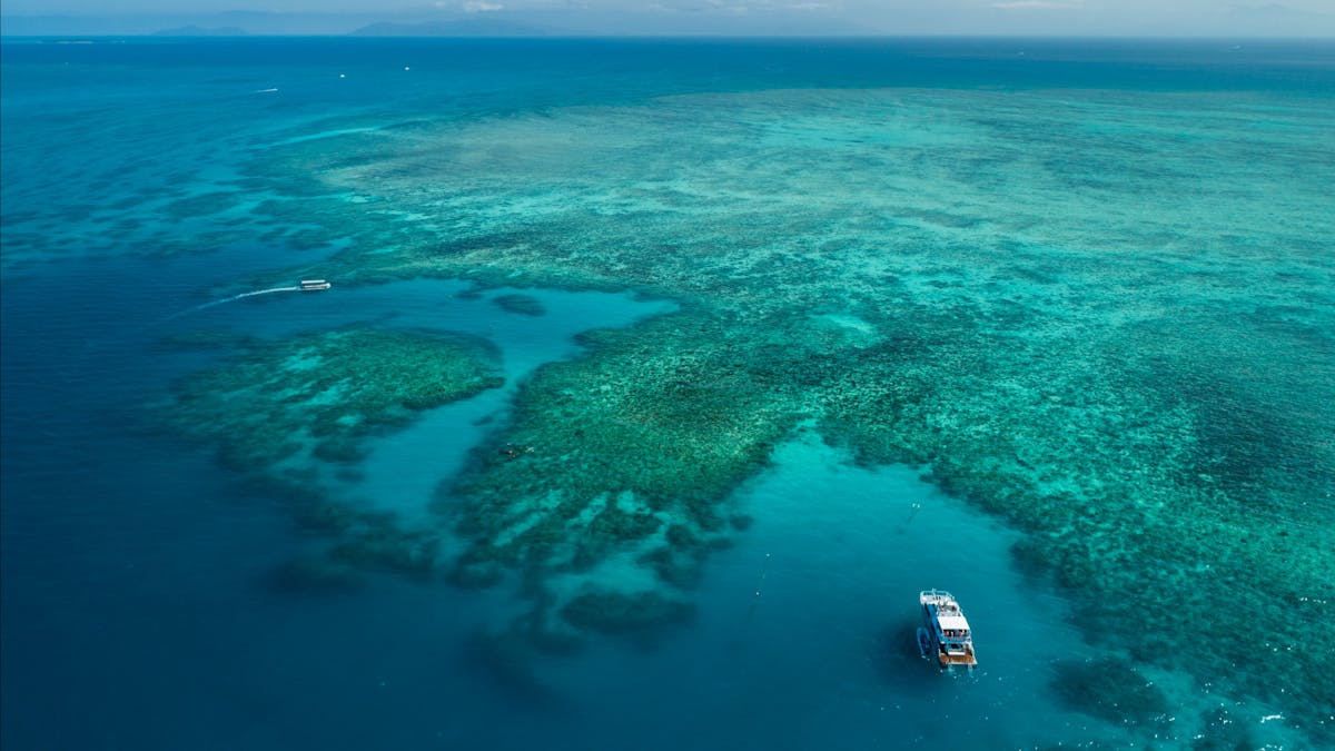 Ocean Freedom- 20M Motor Catamaran  on private Great Barrier Reef Mooring on Outer Edge Upolu Reef