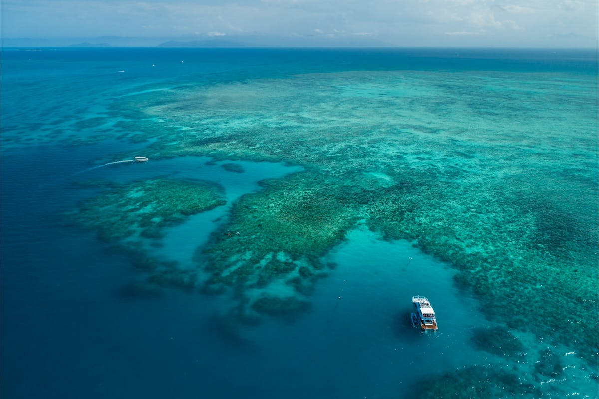 Ocean Freedom- 20M Motor Catamaran on private Great Barrier Reef Mooring on Outer Edge Upolu Reef