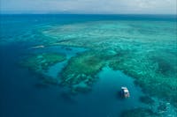 Ocean Freedom- 20M Motor Catamaran on private Great Barrier Reef Mooring on Outer Edge Upolu Reef