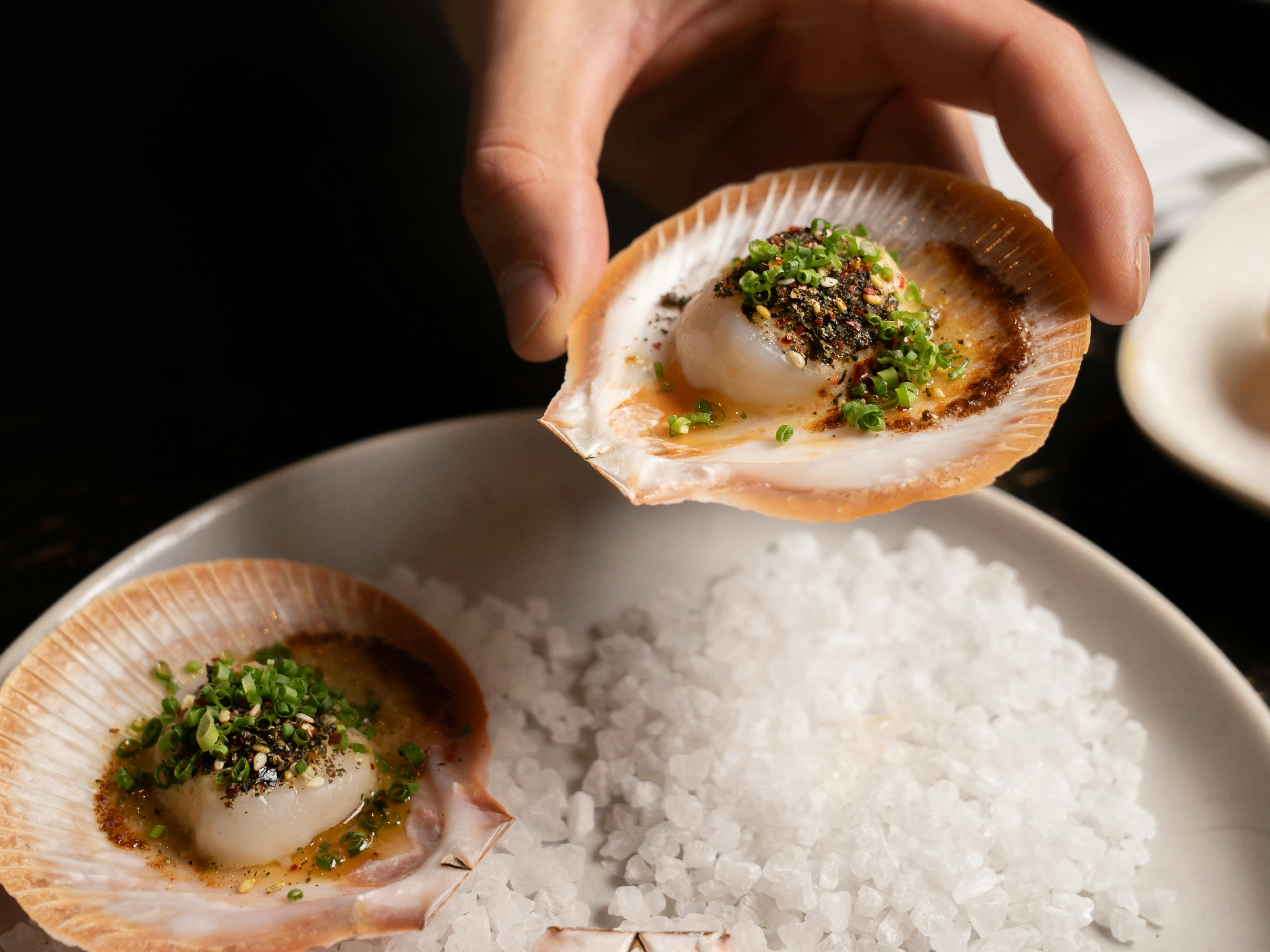 Scallops