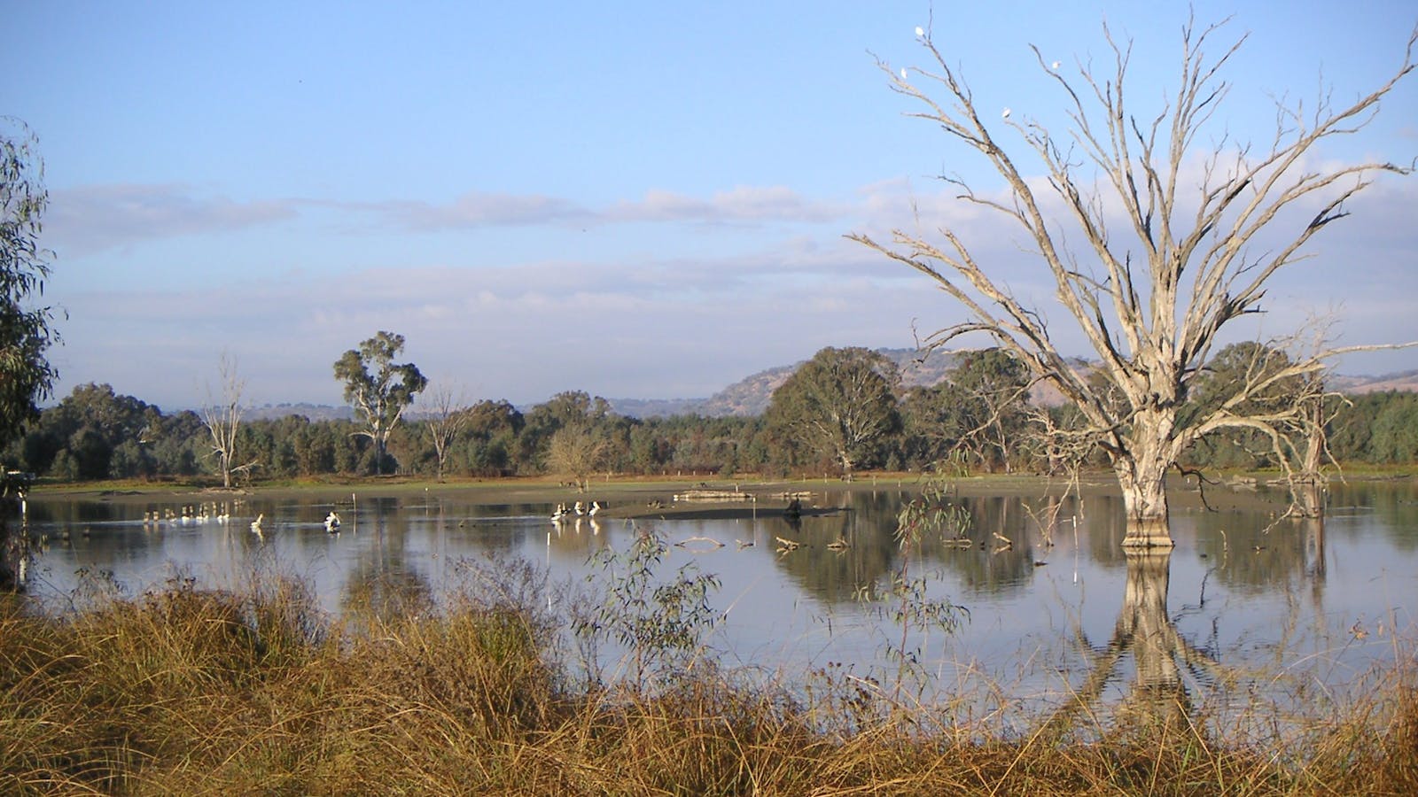 Wonga Wetlands