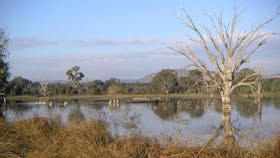 Wetlands Lagoon