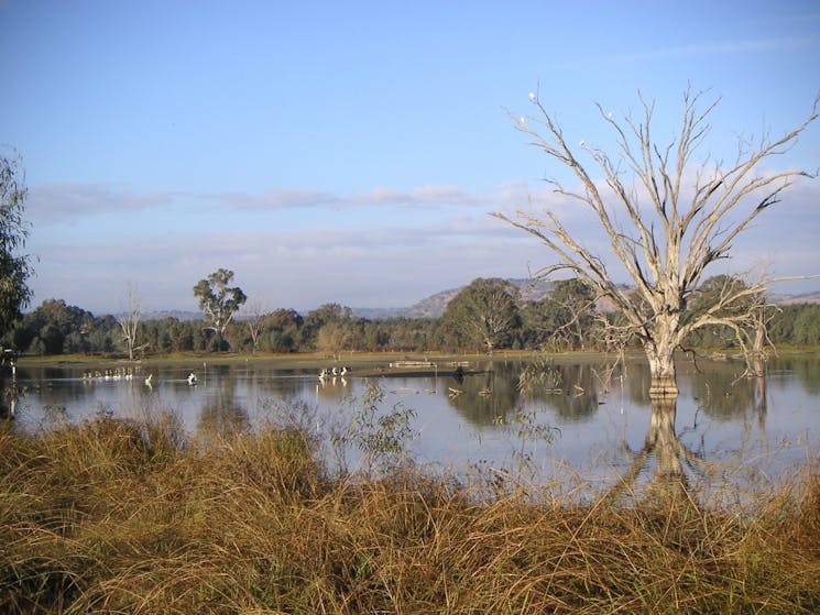 Wetlands Lagoon