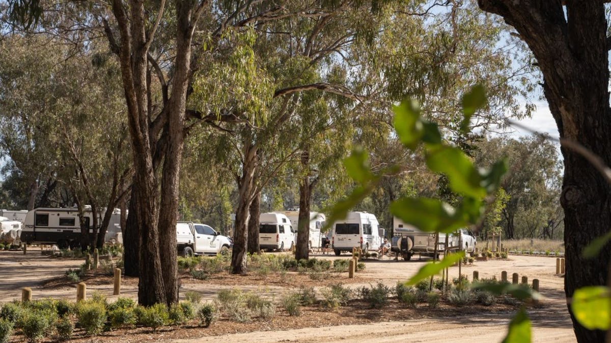 Upgraded camping facilities near the water's edge of Chinchilla Weir