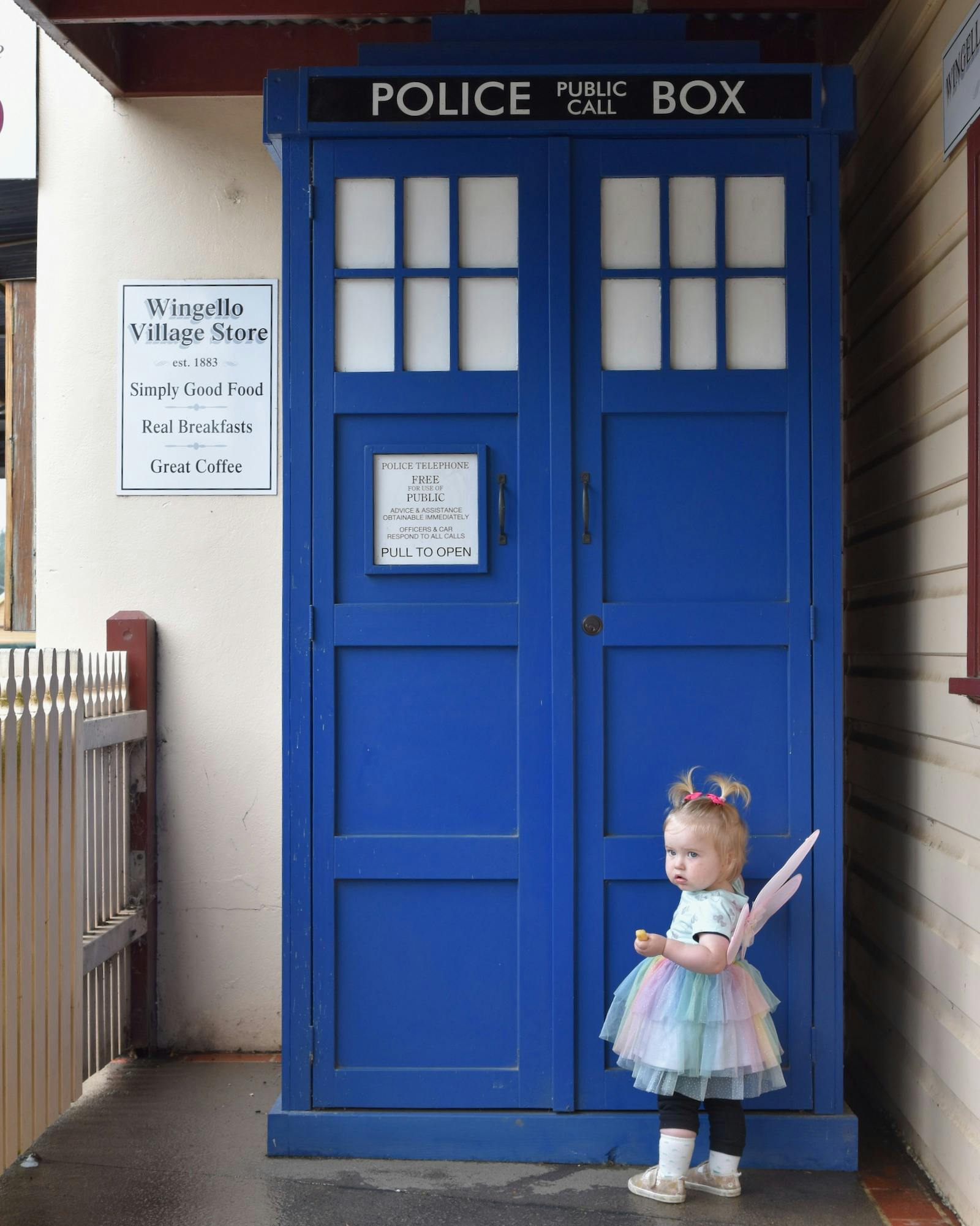 문을 열면 안의 도서관을 볼 수 있습니다