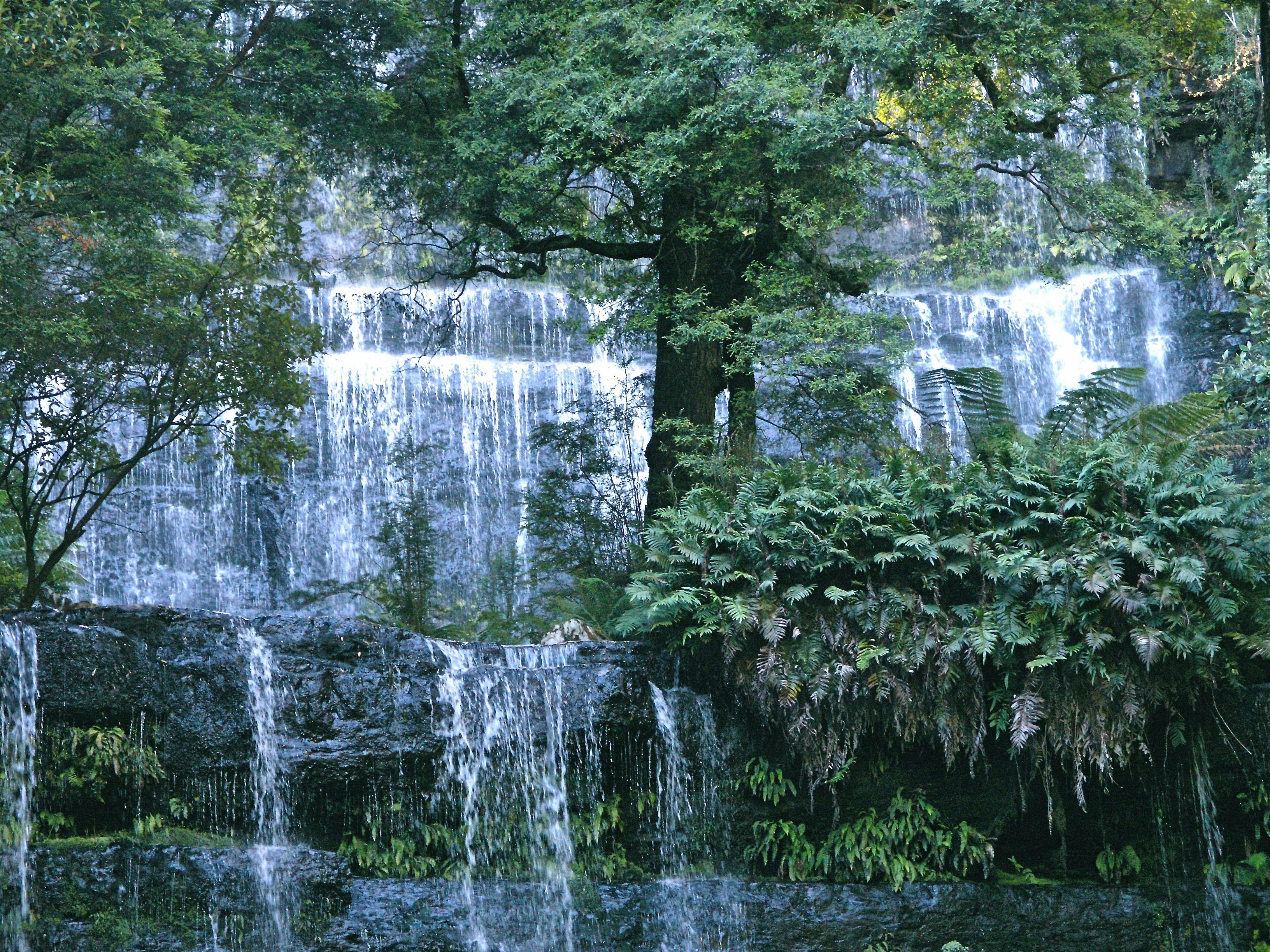 Picturesque Russell Falls