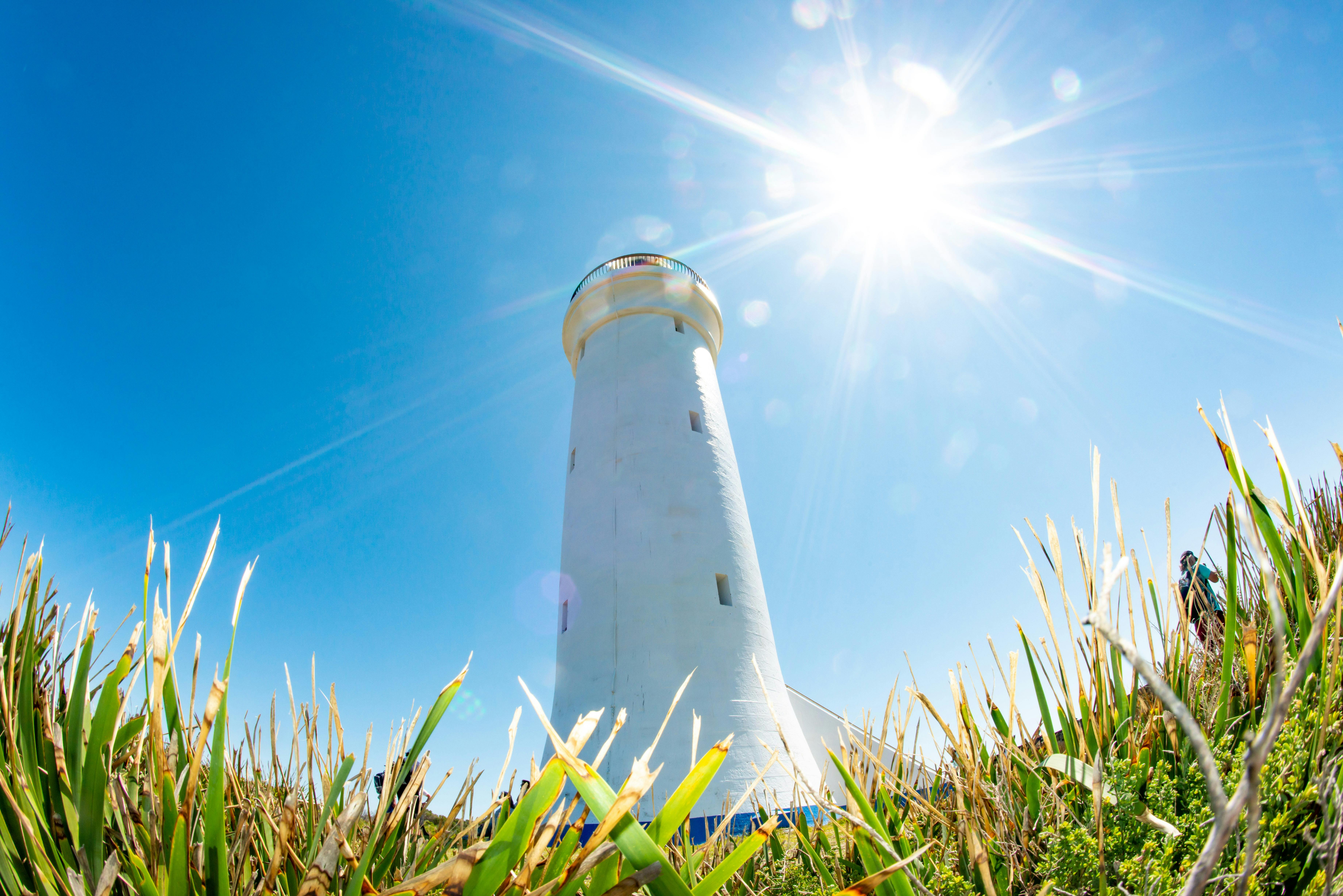 3.5 Hour Fingal Island Eco-Walk and Lighthouse Tour
