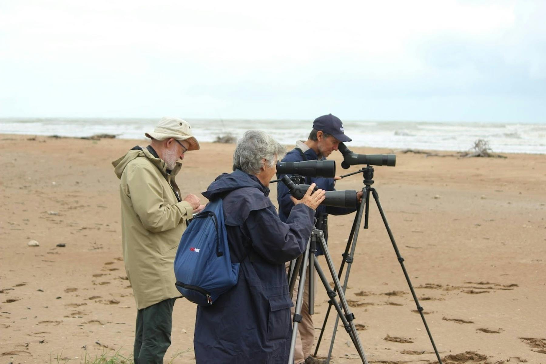 shorebird-counting_ATDW