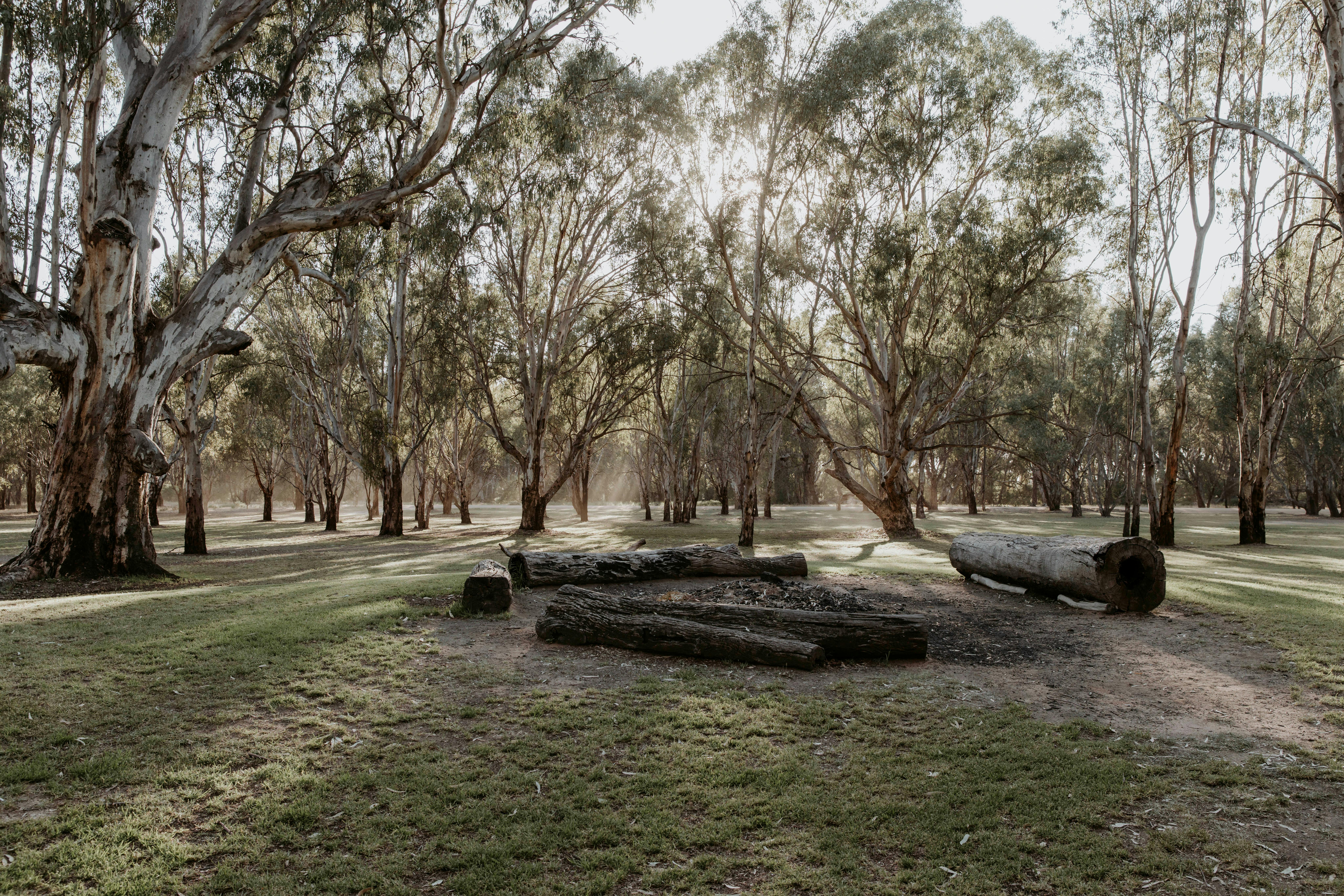 The communal campfire area at The Paddock at Ulupna