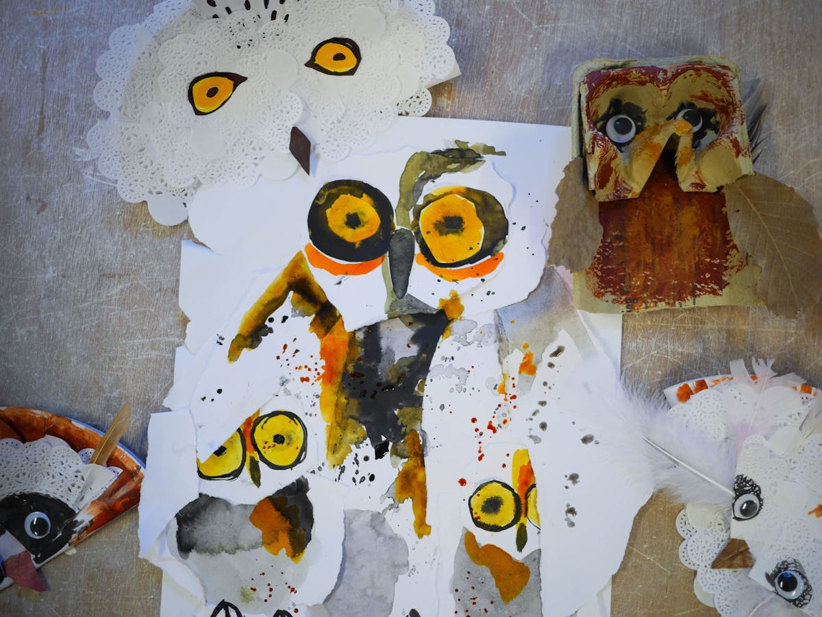 Detail imagery of watercolour owl indicative of workshop