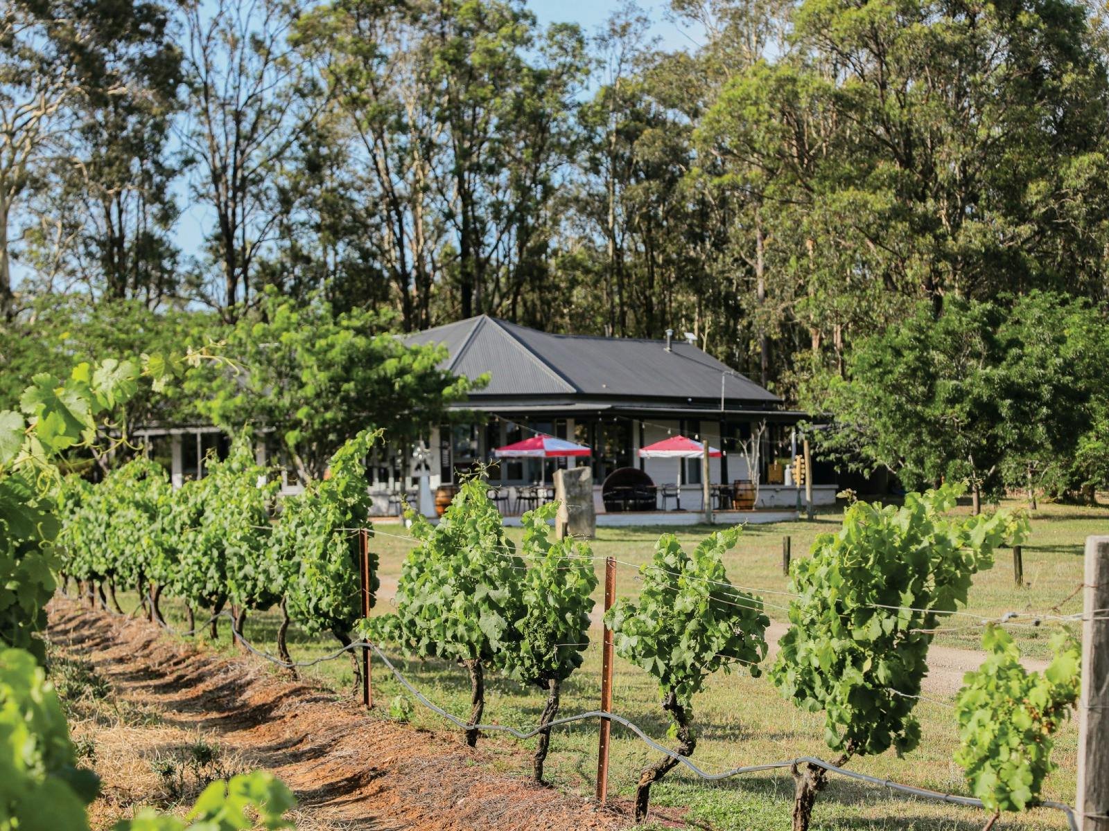 Latitude 32 Wines Hunter Valley Cellar Door