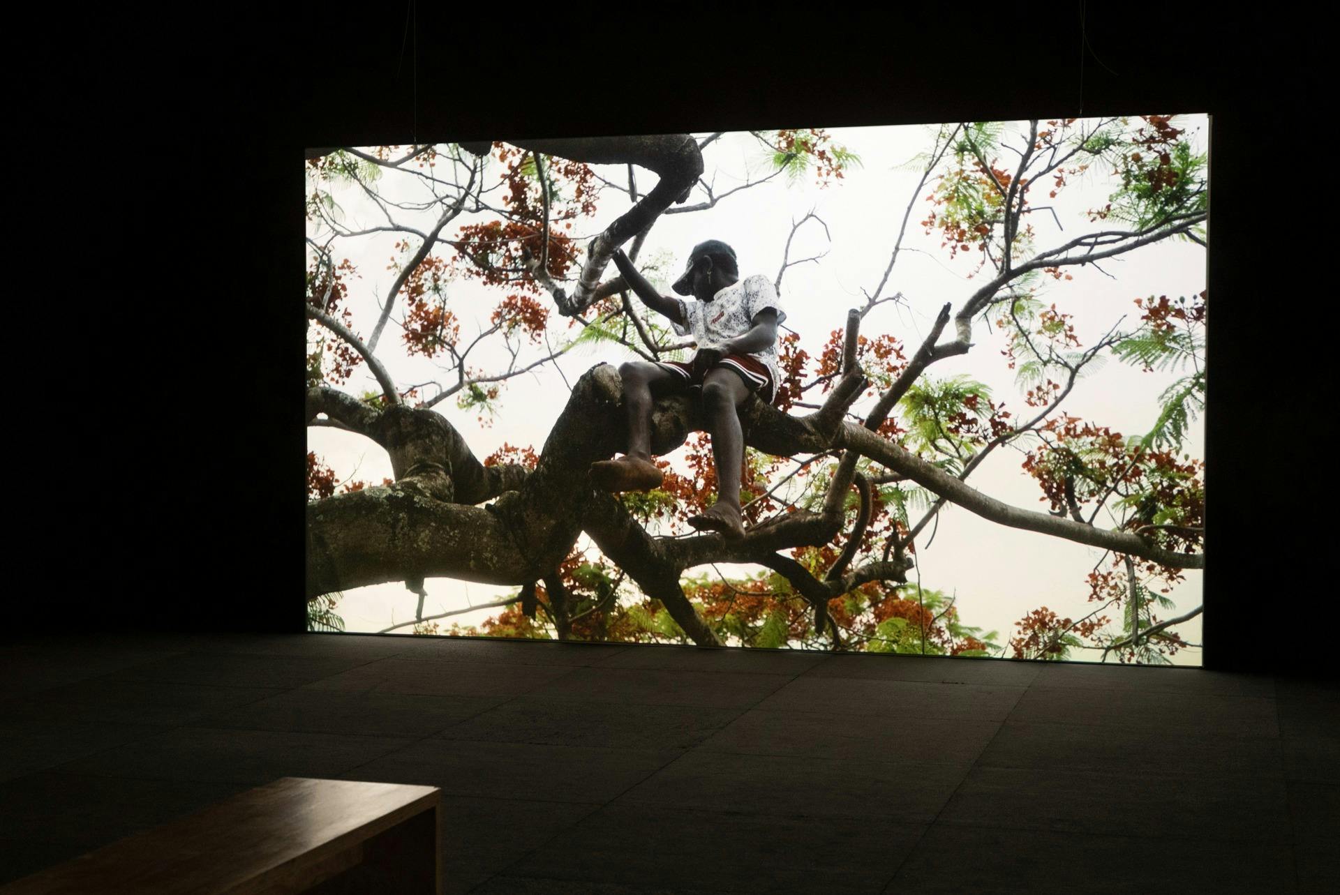 25th Biennale of Sydney: ‘Rememory’