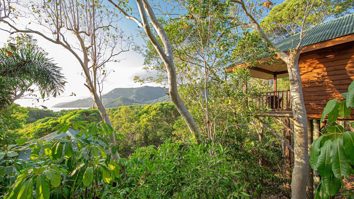 Forest surrounding the bungalows with mountain and ocean views