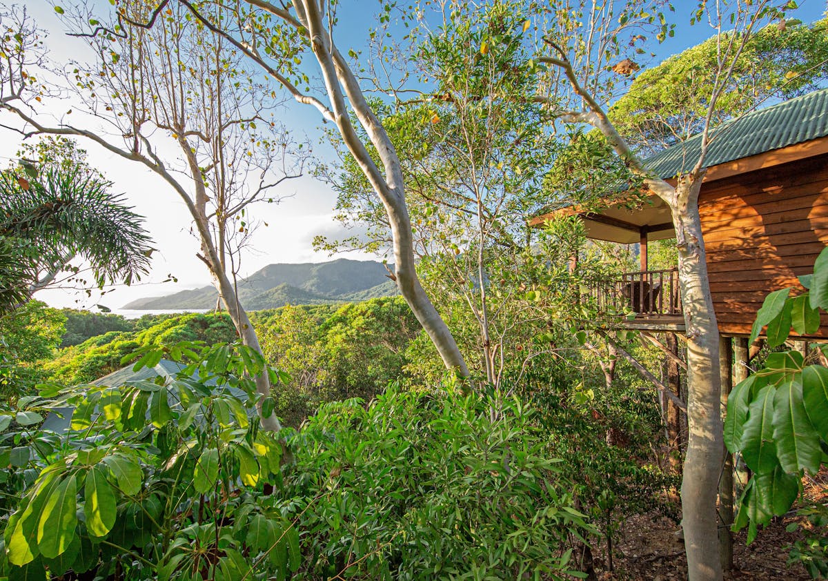 Forest surrounding the bungalows with mountain and ocean views